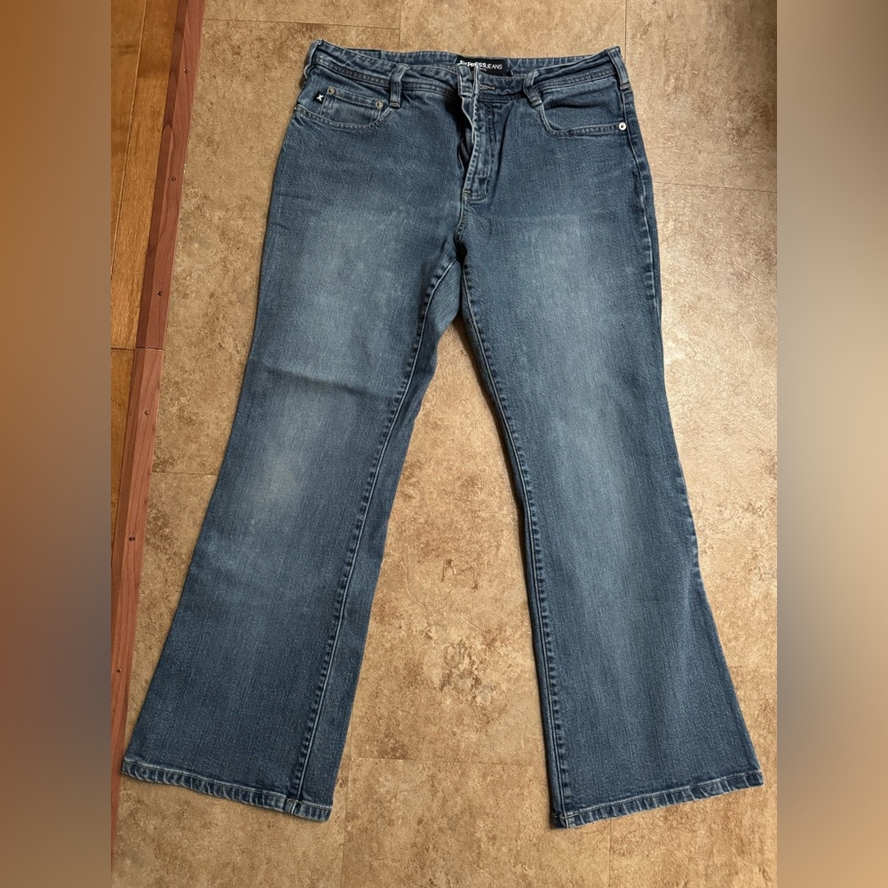 Express Blue Stretch Jeans